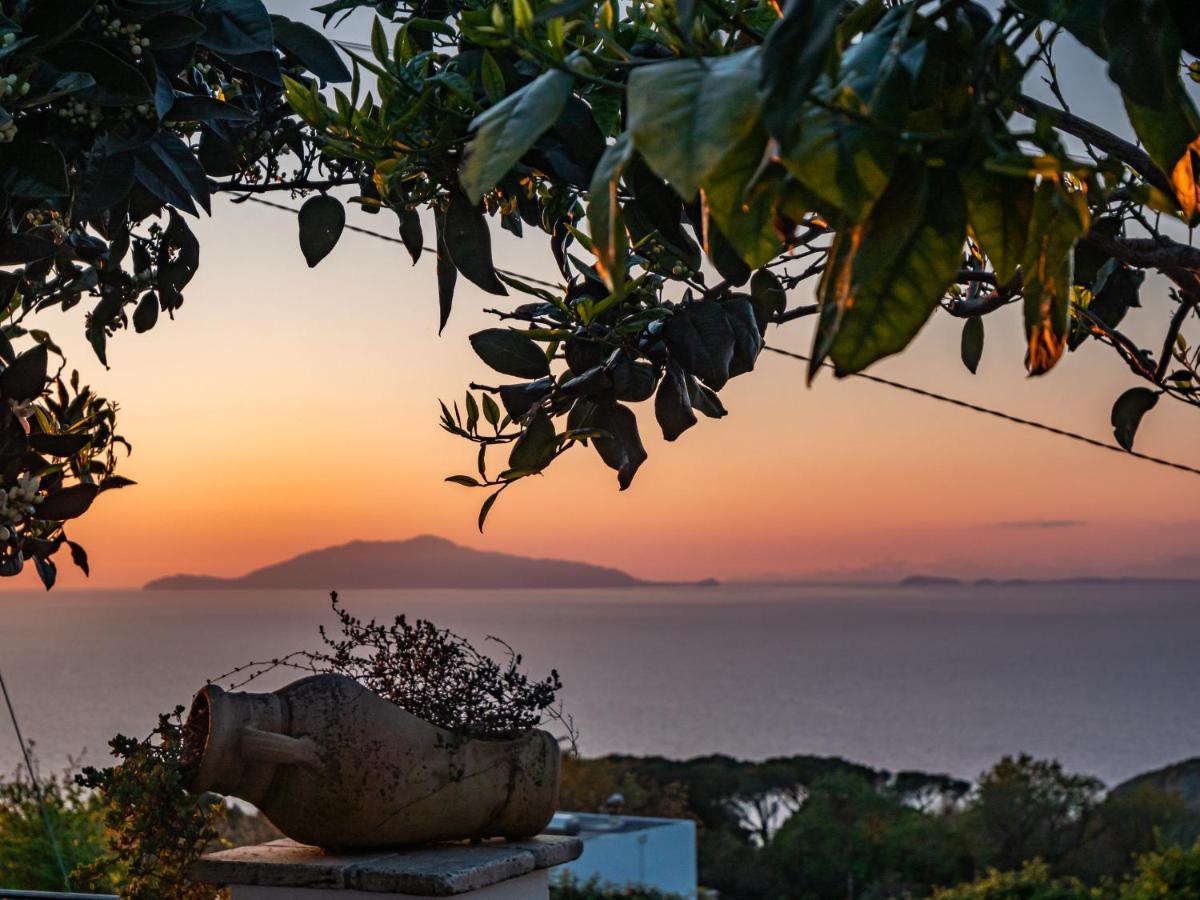 Casa Astra Bed & Breakfast Anacapri  Eksteriør bilde