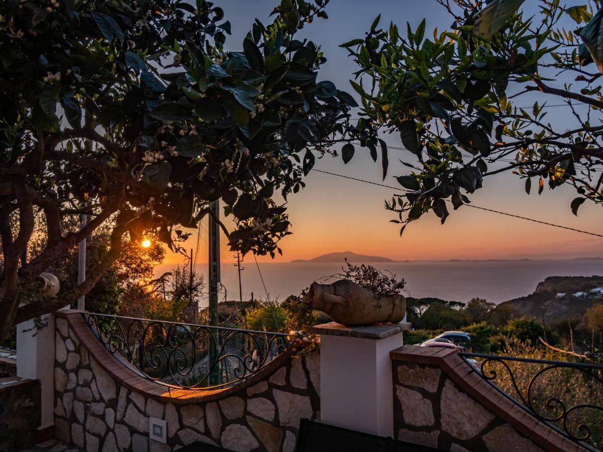 Casa Astra Bed & Breakfast Anacapri  Eksteriør bilde